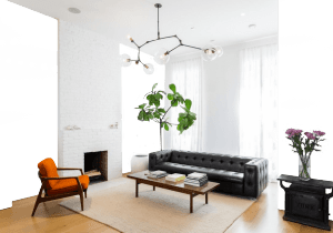Colours Paints for Home and Room